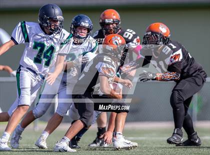 Thumbnail 2 in ThunderRidge @ Lakewood photogallery.
