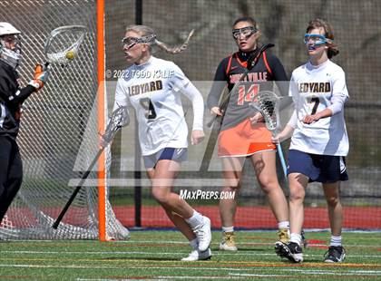 Thumbnail 1 in Montville @ Ledyard photogallery.