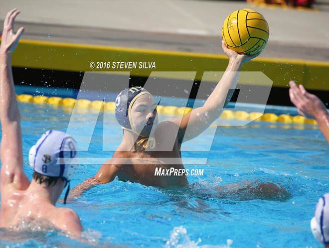 null - Photo 31