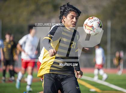 Thumbnail 2 in San Rafael @ Novato photogallery.