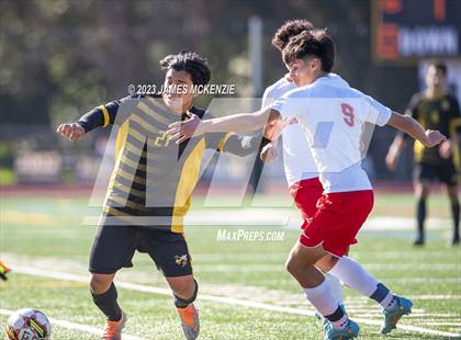 Thumbnail 1 in San Rafael @ Novato photogallery.