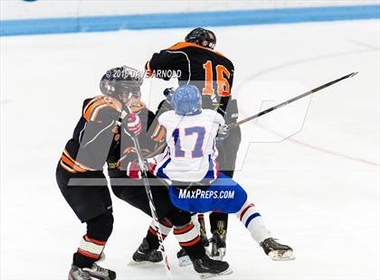Thumbnail 1 in Hull/Middleborough @ Brookline photogallery.