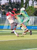 Photo from the gallery "East Bay @ Sumner"
