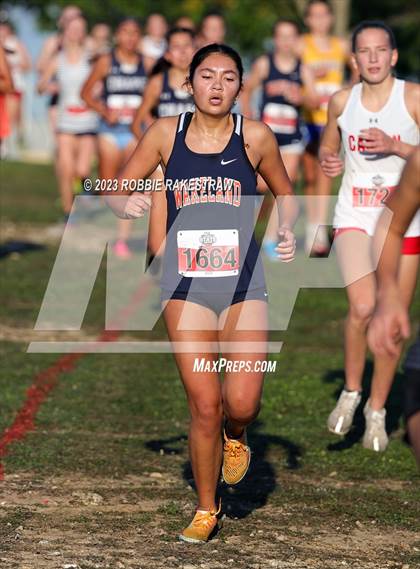 Thumbnail 3 in UIL Cross Country 5A Finals (5K) photogallery.