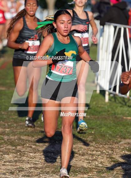 Thumbnail 1 in UIL Cross Country 5A Finals (5K) photogallery.