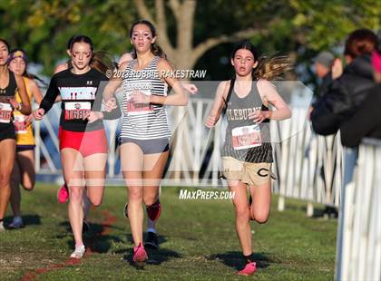 Thumbnail 2 in UIL Cross Country 5A Finals (5K) photogallery.