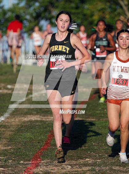 Thumbnail 1 in UIL Cross Country 5A Finals (5K) photogallery.