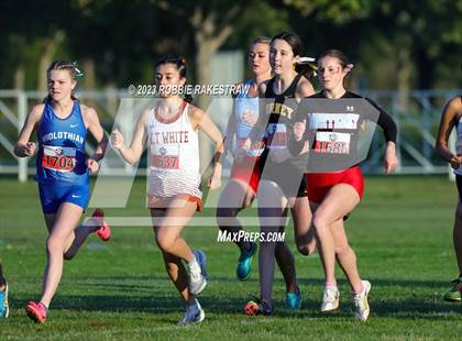 Thumbnail 1 in UIL Cross Country 5A Finals (5K) photogallery.