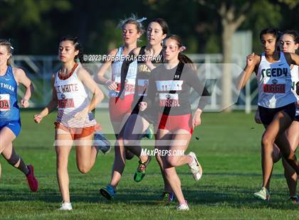 Thumbnail 2 in UIL Cross Country 5A Finals (5K) photogallery.