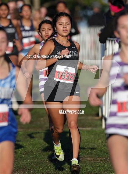 Thumbnail 3 in UIL Cross Country 5A Finals (5K) photogallery.