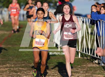 Thumbnail 3 in UIL Cross Country 5A Finals (5K) photogallery.