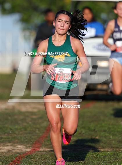 Thumbnail 1 in UIL Cross Country 5A Finals (5K) photogallery.