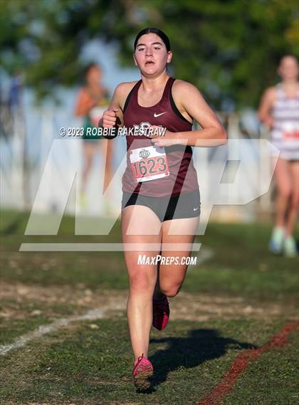 Thumbnail 2 in UIL Cross Country 5A Finals (5K) photogallery.