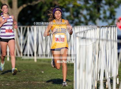 Thumbnail 1 in UIL Cross Country 5A Finals (5K) photogallery.