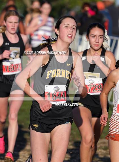 Thumbnail 2 in UIL Cross Country 5A Finals (5K) photogallery.