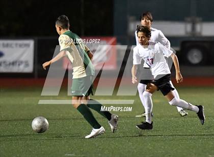 Thumbnail 2 in JV: Ayala @ Damien photogallery.