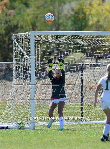 Thumbnail 1 in Douglas @ Bishop Manogue photogallery.