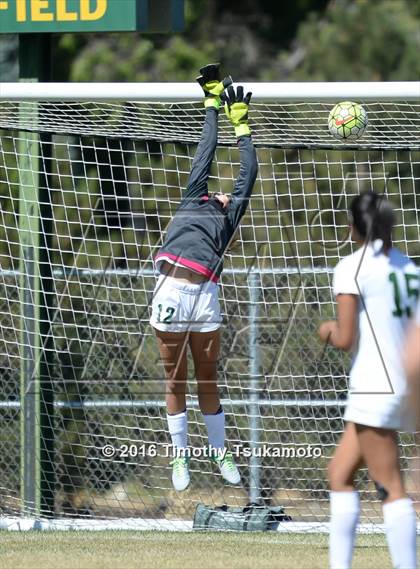 Thumbnail 3 in Douglas @ Bishop Manogue photogallery.