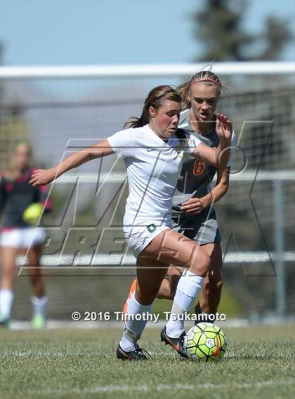 Thumbnail 1 in Douglas @ Bishop Manogue photogallery.