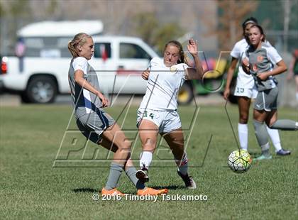 Thumbnail 2 in Douglas @ Bishop Manogue photogallery.