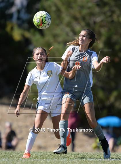 Thumbnail 2 in Douglas @ Bishop Manogue photogallery.