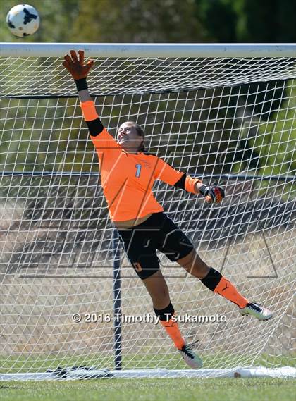 Thumbnail 1 in Douglas @ Bishop Manogue photogallery.