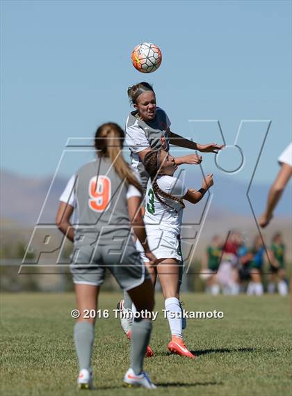 Thumbnail 1 in Douglas @ Bishop Manogue photogallery.