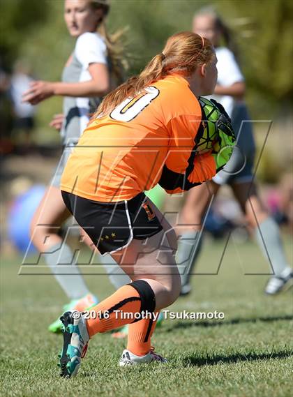 Thumbnail 1 in Douglas @ Bishop Manogue photogallery.