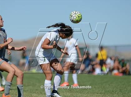 Thumbnail 1 in Douglas @ Bishop Manogue photogallery.
