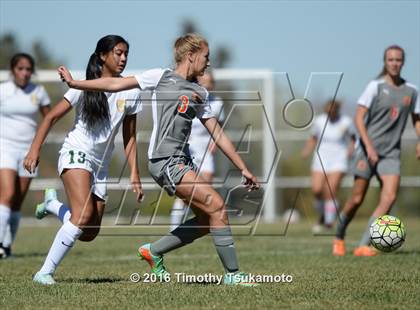 Thumbnail 2 in Douglas @ Bishop Manogue photogallery.