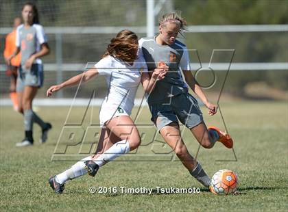 Thumbnail 1 in Douglas @ Bishop Manogue photogallery.