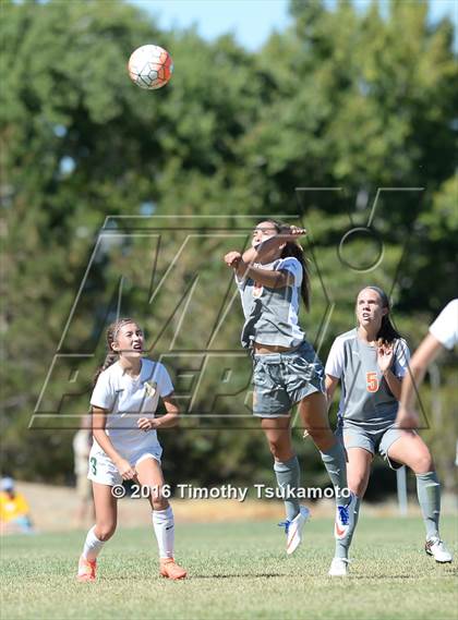 Thumbnail 1 in Douglas @ Bishop Manogue photogallery.
