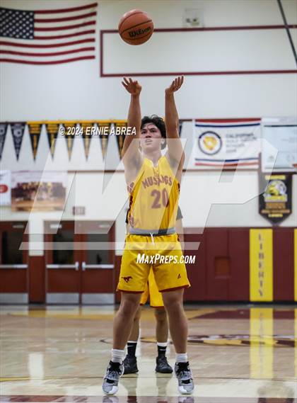 Thumbnail 3 in Lincoln vs. Cornerstone Christian (Stonebarger Tournament) photogallery.