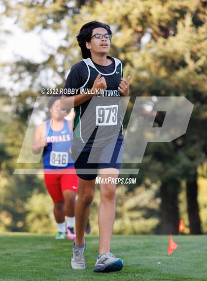 Thumbnail 1 in Kent All City Championship photogallery.