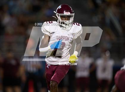 Thumbnail 3 in Tarpon Springs @ East Lake photogallery.