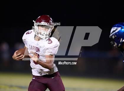 Thumbnail 3 in Tarpon Springs @ East Lake photogallery.