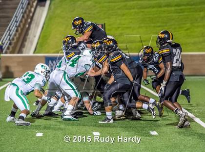 Thumbnail 2 in Brenham @ Spring Woods photogallery.