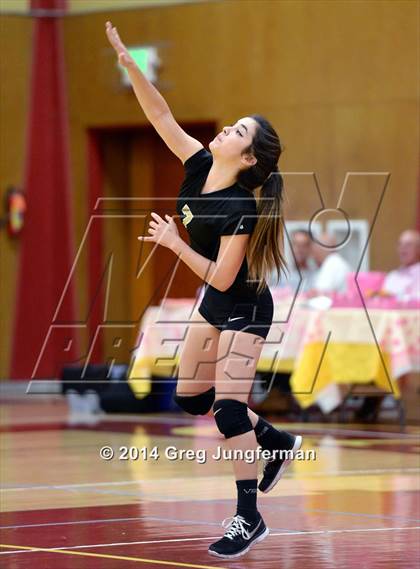 Thumbnail 2 in Windsor @ Cardinal Newman photogallery.
