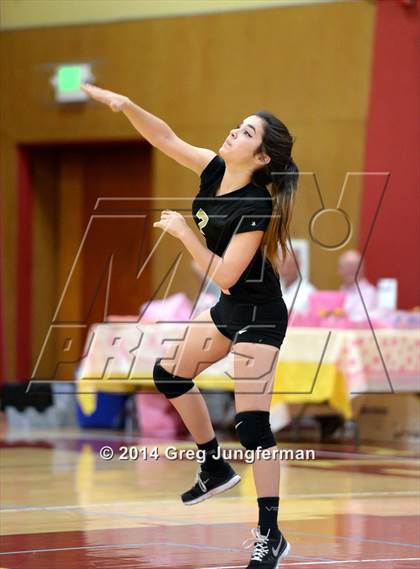 Thumbnail 3 in Windsor @ Cardinal Newman photogallery.