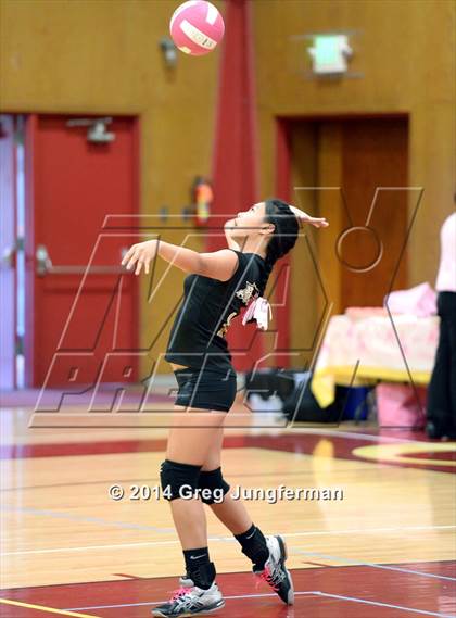 Thumbnail 1 in Windsor @ Cardinal Newman photogallery.