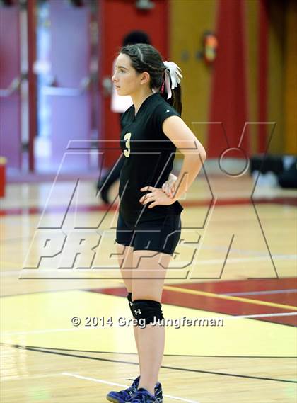 Thumbnail 2 in Windsor @ Cardinal Newman photogallery.