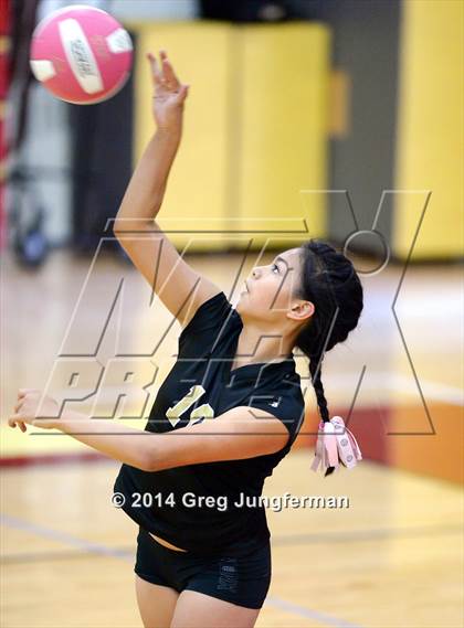 Thumbnail 2 in Windsor @ Cardinal Newman photogallery.