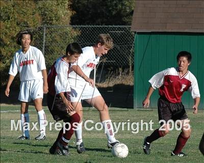Thumbnail 3 in Florin @ Jesuit photogallery.