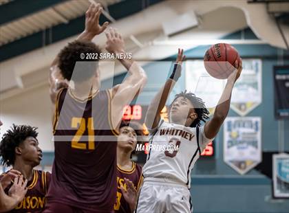 Thumbnail 1 in Edison vs. Whitney (Simply Showdown) photogallery.