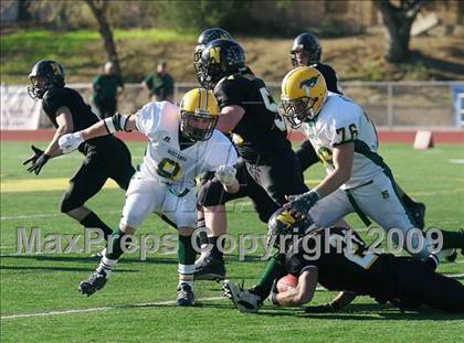 Thumbnail 2 in San Marin @ Novato  photogallery.