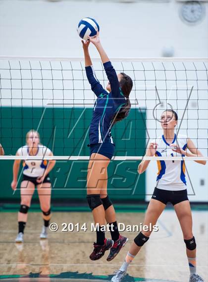 Thumbnail 1 in Rampart @ ThunderRidge photogallery.