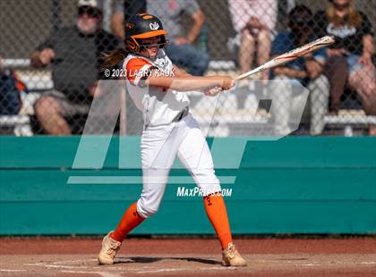 Thumbnail 2 in Los Gatos @ Milpitas photogallery.