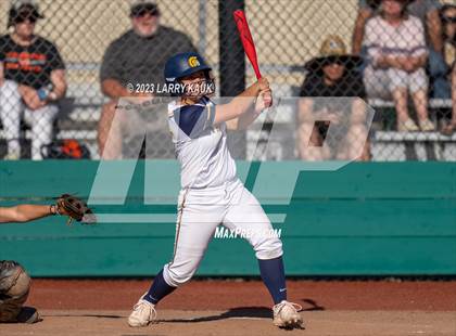Thumbnail 1 in Los Gatos @ Milpitas photogallery.