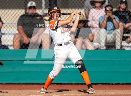 Thumbnail 2 in Los Gatos @ Milpitas photogallery.