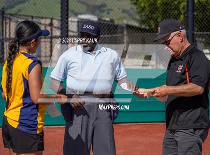 Thumbnail 3 in Los Gatos @ Milpitas photogallery.